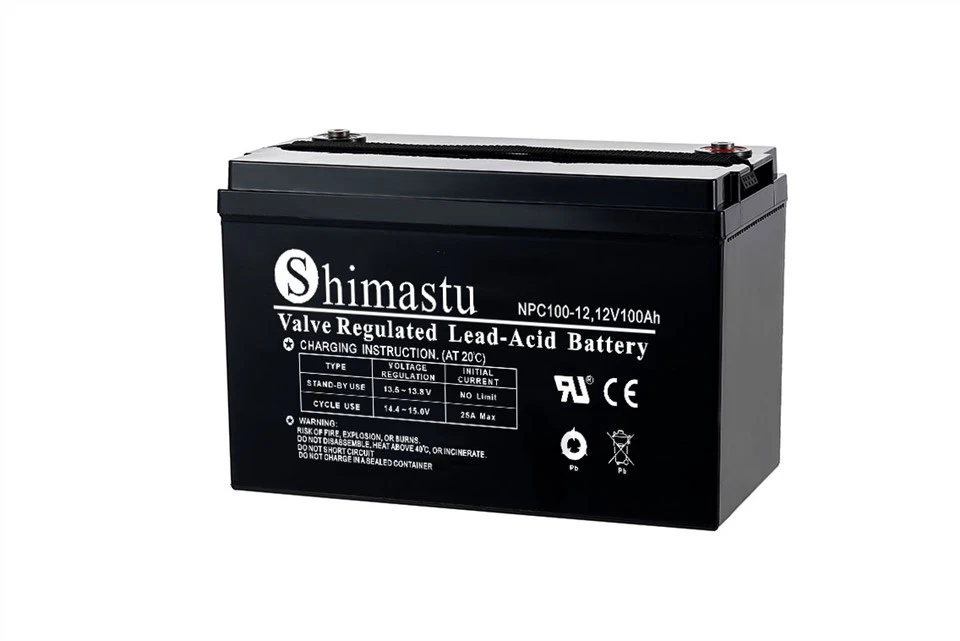 Batteria a ciclo profondo 12V100Ah VRLA