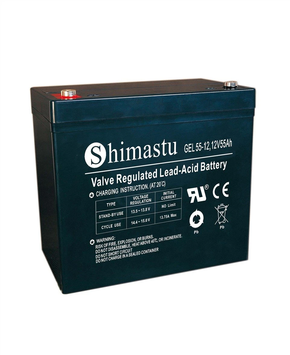 Batteria GEL 12V 55Ah