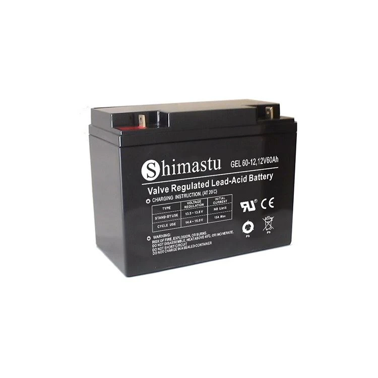 Batteria GEL 12V 60Ah