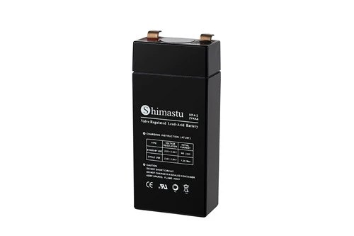 Batteria per scherma elettrica