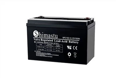 Batteria a ciclo profondo 12V100Ah VRLA