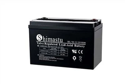 Batteria GEL 12V100Ah