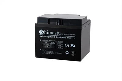 Batteria 12V 40Ah SLA
