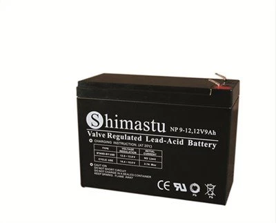 Batteria 12V 9Ah Ricaricabile