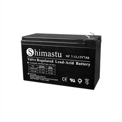Allarme Batterie 12V7Ah