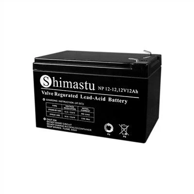 Batteria di emergenza 12 volt