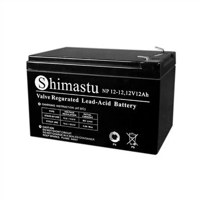 Batteria al piombo sigillata 12V12Ah