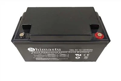 Batteria al gel al piombo regolata con valvola